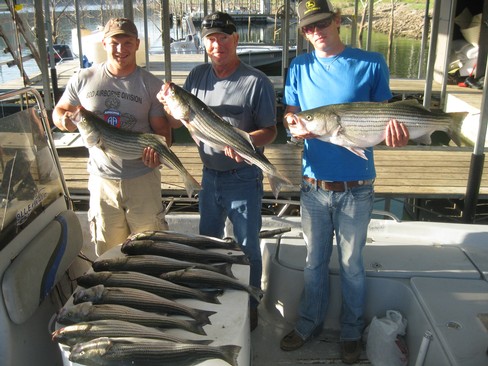 Nice Striped Bass